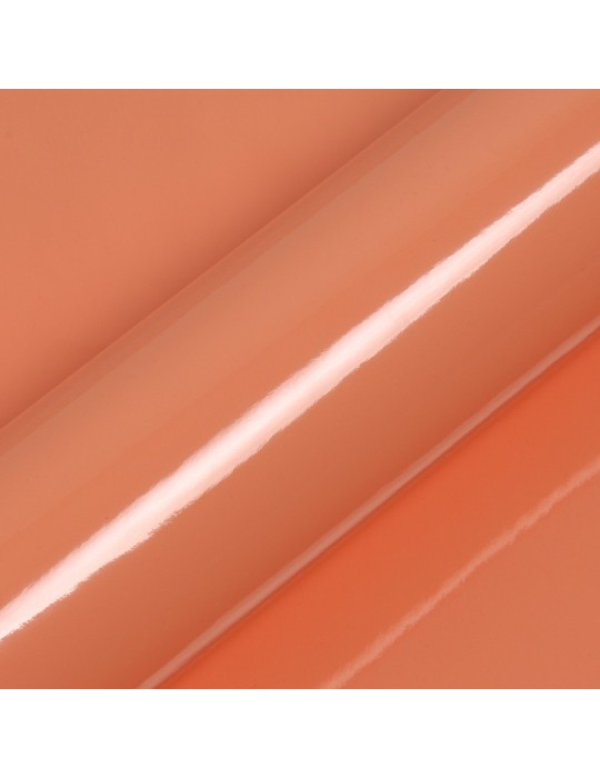 MG2P01 - Pêche Brillant